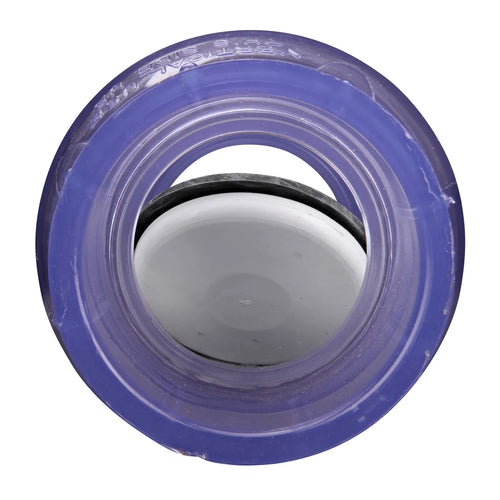 NDS Inc PVC Swing Check Valve, 1-1/2 in. IPS S X S, Clear