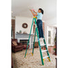 WernerCo Type II Fiberglass Step Ladder 5908